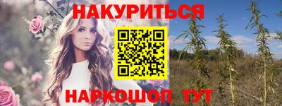 сатива Новокубанск