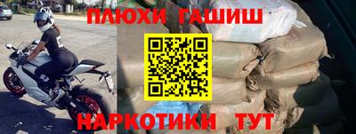 сатива Новокубанск